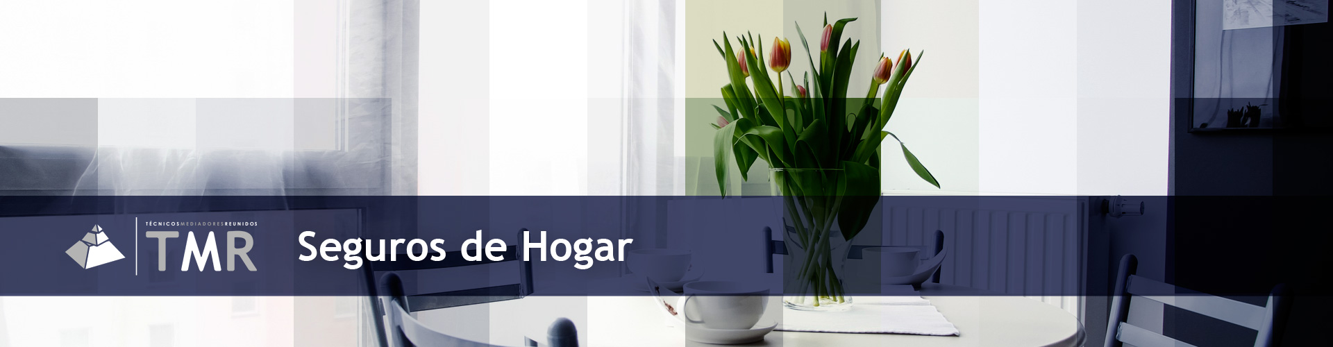 slide tmr seguros hogar